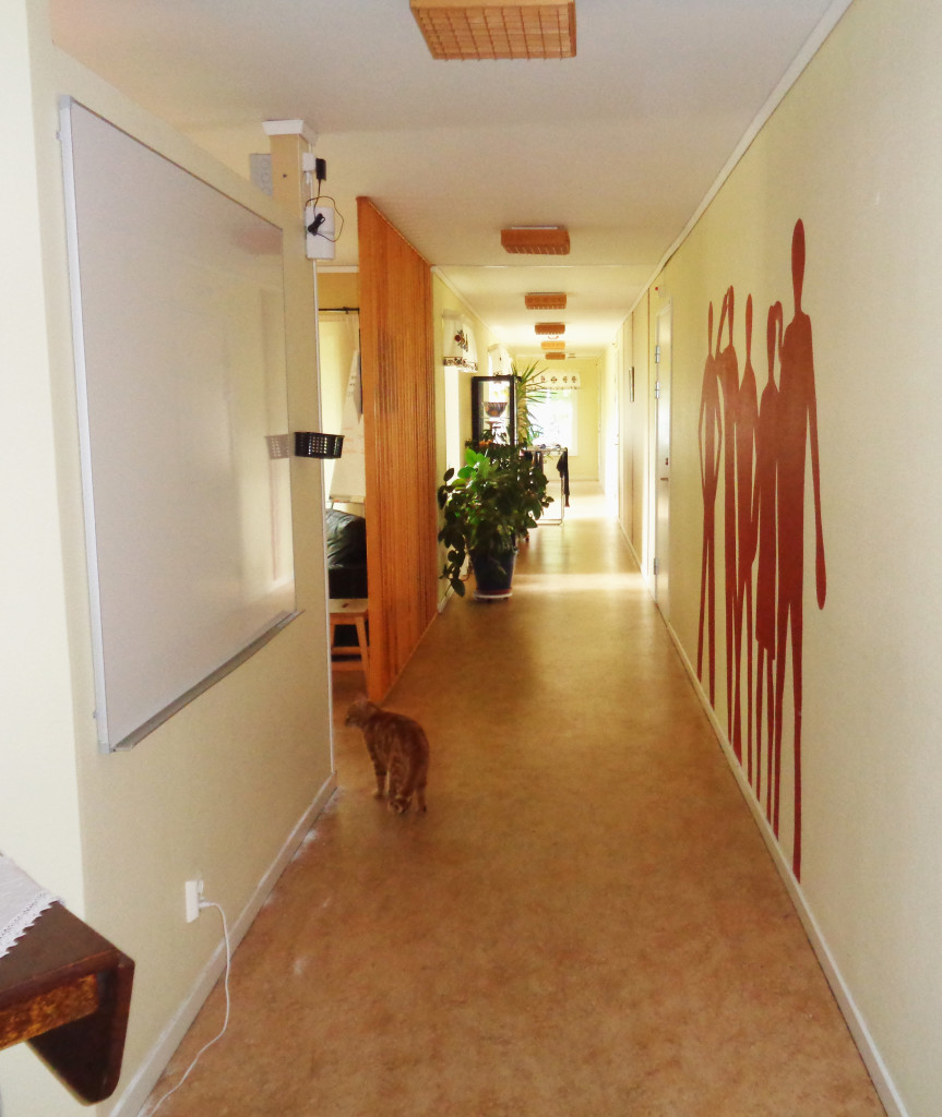 katt-i-korridor
